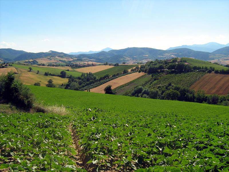 La "Banca delle Terre Agricole" diventa realtà